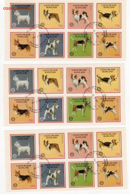 Фауна. Шотландия собаки 3 м.л. СТО - img046