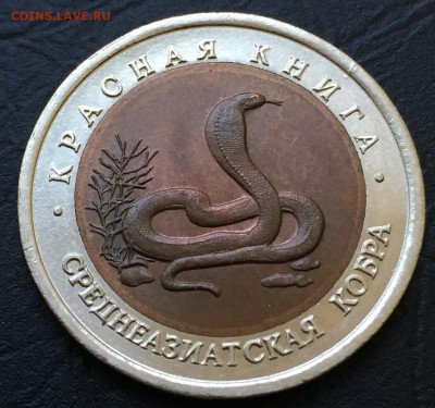 10 рублей Среднеазиатская кобра с 200 руб! до 3.03.16 22:00 - image-26-02-16-06-22-5