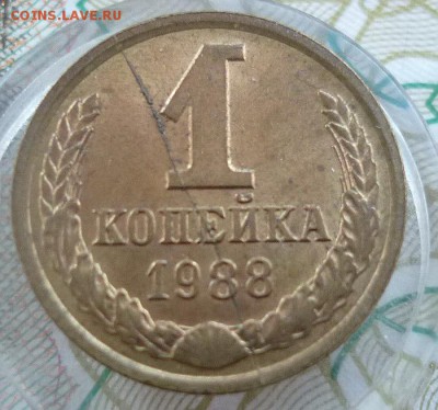 1 копейка 1988 год раскол штемпеля до 01.03.2016 в 22:00 - P1060262