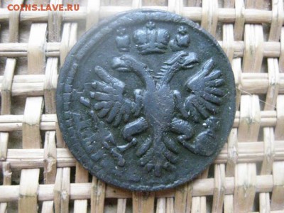 Деньга 1731г. Перечекан. В альбом. До 4.02.2016г. - 3 и 4 053.JPG