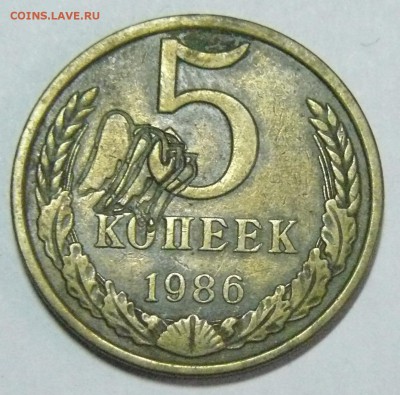 5 копеек 1986г рукоблуд? - P1240658.JPG
