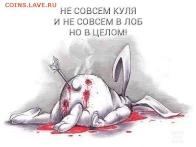 События на Украине. - куля