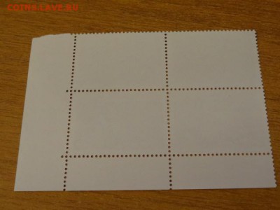 2003, Сцепка, Девственные леса Коми, чист. - DSC09127.JPG