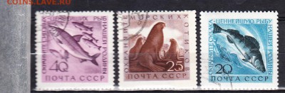 СССР 1960 фауна моря - 423
