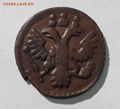 Полушка 1736г. - DSCF0043.JPG