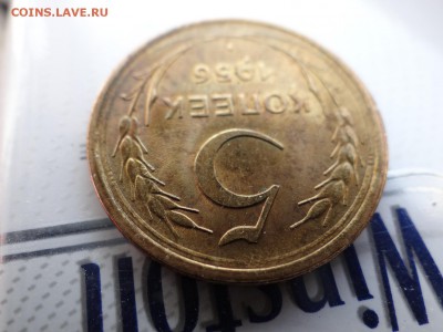 5копеек 1956 года-оценка - DSC03140.JPG