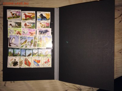 4 альбома марок до 28.02 - IMG_2055.JPG