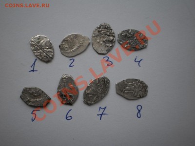 Чешуйки Петра, 8 шт., до 23.10 до  21:30 Москвы - P1010506.JPG