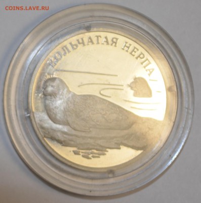 1 рубль 2007 Ag925 Кольчатая Нерпа c 1руб до 6.03 в 22:00мск - DSC_0008.JPG