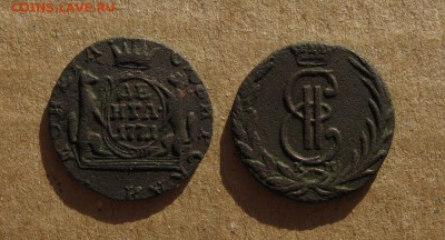 1771_Денга_Сибирская_симпатичная_до 03.03.16 - 1771_ДенгаСиб-500