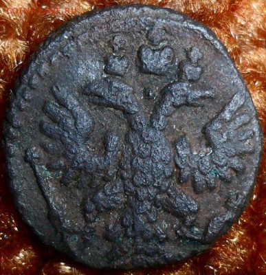 Полушка 1735. - SAM_1169.JPG