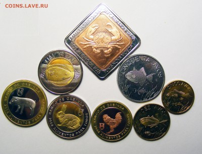 ФАУНА. Кабинда (Ангола) 8 монет 2008-2009 до 3.03.16 в 22.10 - Кабинда 8 моне (2).JPG