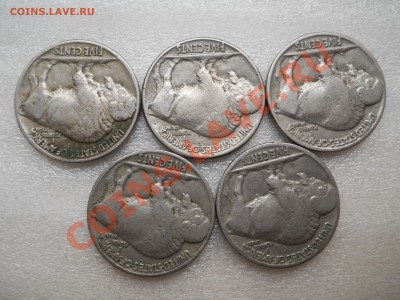 Оценка Buffalo 5 центов, 12 штук. 20 - 30 ые годы - Буффало 2.JPG