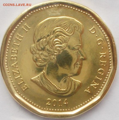 1 доллар Канады 2014 Олимпийская утка (сочи) до 06.03.16 - DSCN6523.JPG