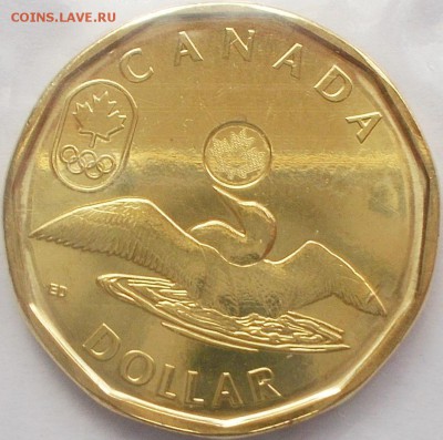 1 доллар Канады 2014 Олимпийская утка (сочи) до 06.03.16 - DSCN6519.JPG