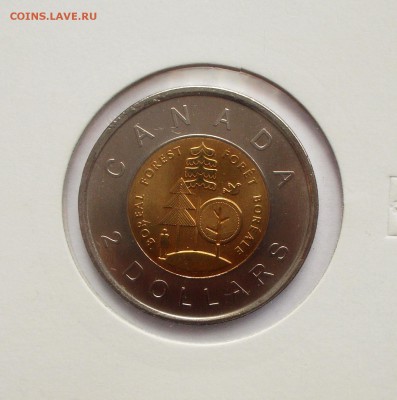2 доллара Канады 2011 "парк" в холдере до 06.03.16 - DSCN5353.JPG