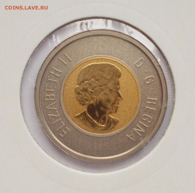 2 доллара Канады 2013 "медвежата" до 06.03.2016 - DSCN5777.JPG