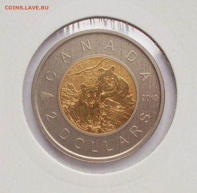 2 доллара Канады 2013 "медвежата" до 06.03.2016 - DSCN5769.JPG