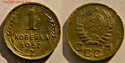 1к-37г - новый коллаж (31)