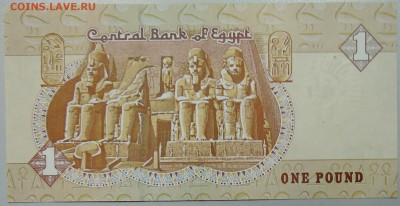 ЕГИПЕТ - 1 фунт 2010 г. пресс до 08.03 в 22:00 - DSCN3187.JPG