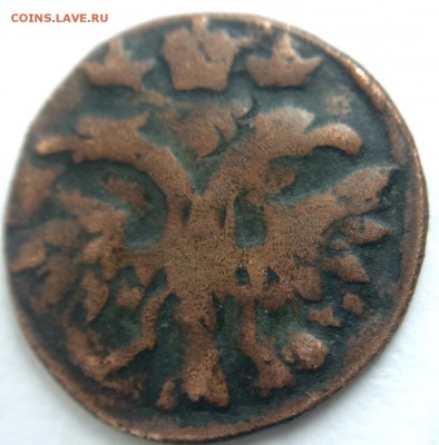 Полушка 1719 года - image