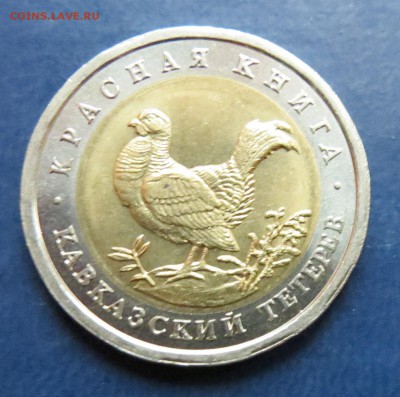 Кр. кн. 1993г. Кавк. Тетерев до 7.02. 16 - тетерев (2).JPG