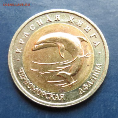 Кр. кн. Черноморская афалина 1993г. до 7.02 16 - дельфин (2).JPG