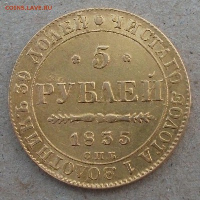 5 руб. 1835г. СПБ ПД на опознание и оценку - DSCF5469.JPG