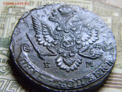 5 коп 1783 ем кладовой до 4.03 в 22.30 - Изображение 148