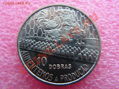 -СТиПринсипи- 10 добра 1990(ФАО-фауна) -- 20,10 22-00 - PICT0809.JPG