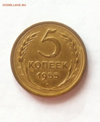 5 копеек 1955г. до 09.03.16г. - 555.JPG