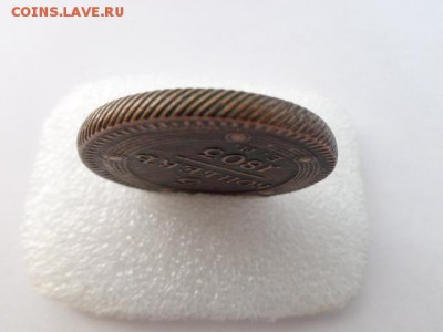 пятак кольцевик - DSC06191.JPG