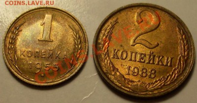 1 коп 1955 Красивая и 2к.1988!до 19 октября 23.00 по Мск - SDC13100.JPG