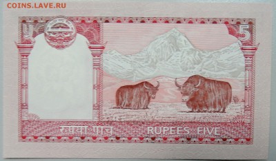 НЕПАЛ - 5 рупий 2012 г. пресс до 09.03 в 22.00 Мск - DSCN3205.JPG