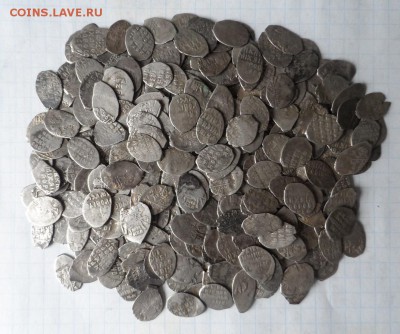 Чешуя Михаила Федоровича 300 шт до 04.03.16г в 22:00 По МСК - SAM_3267.JPG
