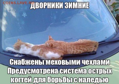 юмор - giSjn77y3H4