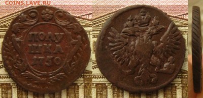 Хорошая полушка 1750 г.(в альбом !),до 06.03.16 в 22:10 МСК - Полушка 1750 г