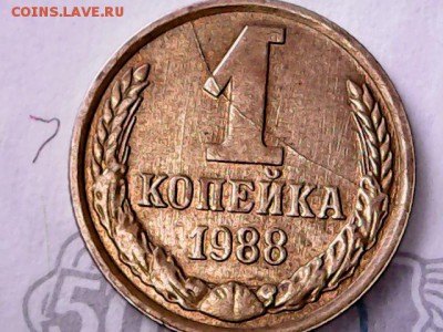 1 копейка 1988 г полный раскол.Короткий,есть блиц. - S20160304_0001