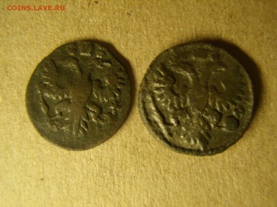 Полушка 1735 год - P3030201.JPG