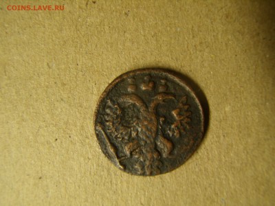 Полушка медь 1736 - P3030197.JPG