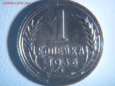 спрос - SDC11993.JPG