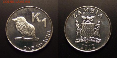 2 - Замбия – 1 квача (2012) «Птица»