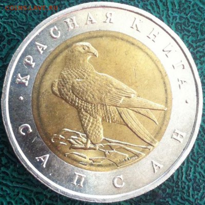 50р. Сапсан до 11.03.2016 в 22.00 старт - 200р. - сапсан(1).JPG