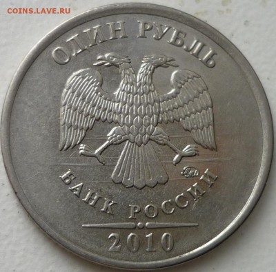 1р орел на проводах - P1140563.JPG