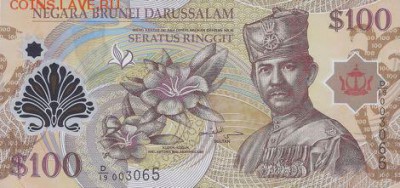 новости 16 года, пополняемая - brunei_bcmb_100_dollars_2013.00.00_b202c_p29_d-19_003065_f