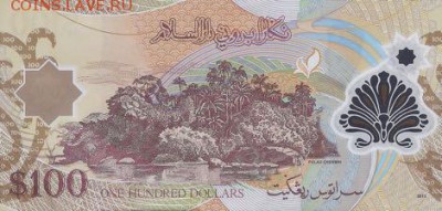 новости 16 года, пополняемая - brunei_bcmb_100_dollars_2013.00.00_b202c_p29_d-19_003065_r