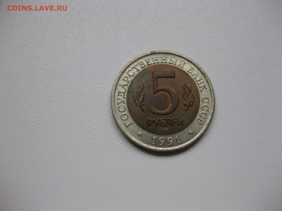 Винторогий козёл)!до 9.03.2016 - IMG_2338.JPG