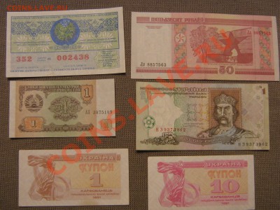 оценка бон -более 50шт. - IMG_0035