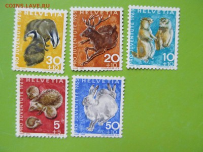 Ёжики на марках - 38274279