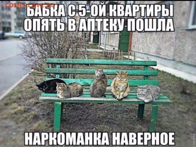 юмор - image